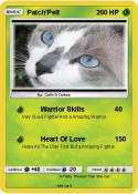 Patch'Pelt
