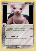 bingus
