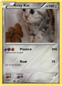 Kitty Kat
