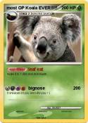 most OP Koala