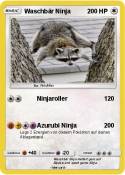 Waschbär Ninja