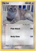 Fat Cat