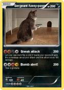 Sergeant fussy-