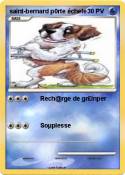 saint-bernard