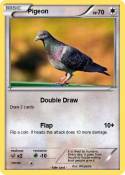 Pigeon