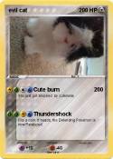 evil cat