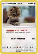 business kitten