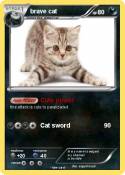 brave cat