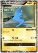 Very hot bird