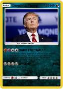 Donald J. Trump