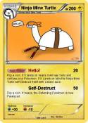 Ninja Mine Turt