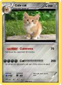 Cute cat