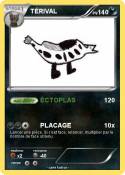 TÉRIVAL