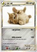 mr cat