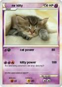 mr kitty