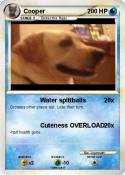 Cooper