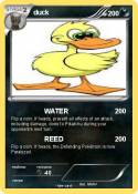 duck