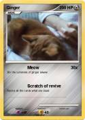 Ginger