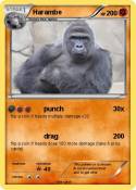 Harambe