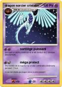 dragon sorcier