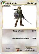 Link adulte