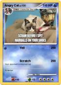 Angry Cat