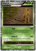cheetah