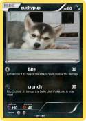 guskypup
