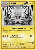BIG CAT