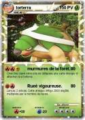 torterra