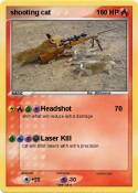 shooting cat