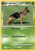 berger allemand