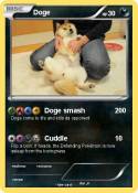 Doge
