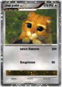 chat potté
