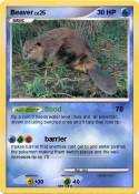 Beaver