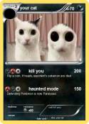 your cat
