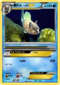fish cat