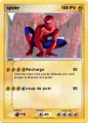 spider
