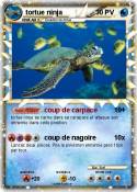 tortue ninja