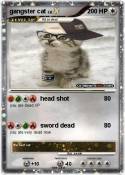 gangster cat