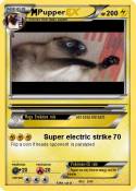Pupper