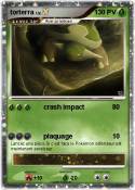 torterra