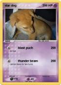 star dog