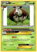 Cow