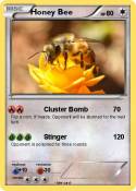Honey Bee