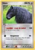 frison