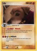 Lily