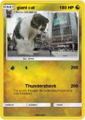 giant cat
