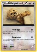 Bébé guépard