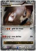 ficelle